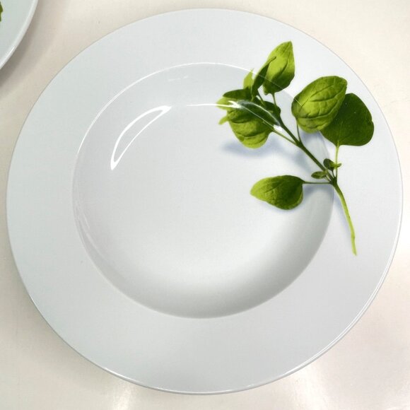 Crate & Barrel Herb Motif Porcelain Dinner Plates Set Of 2 - Picture 5 of 9
